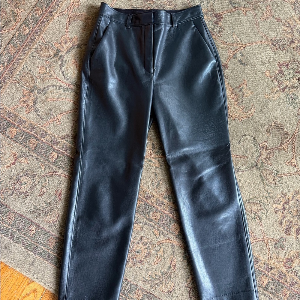 Aritzia Babaton Faux Leather Pants